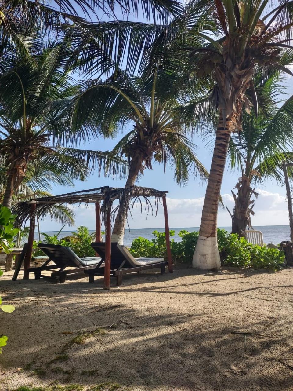 Lunazul Eco-Cabana Frente Al Mar Mahahual Extérieur photo