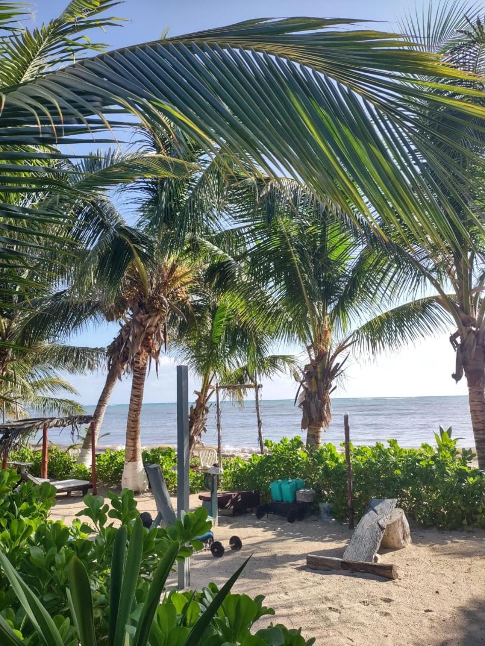 Lunazul Eco-Cabana Frente Al Mar Mahahual Extérieur photo