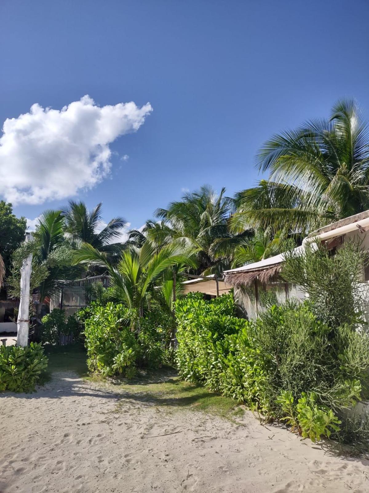 Lunazul Eco-Cabana Frente Al Mar Mahahual Extérieur photo